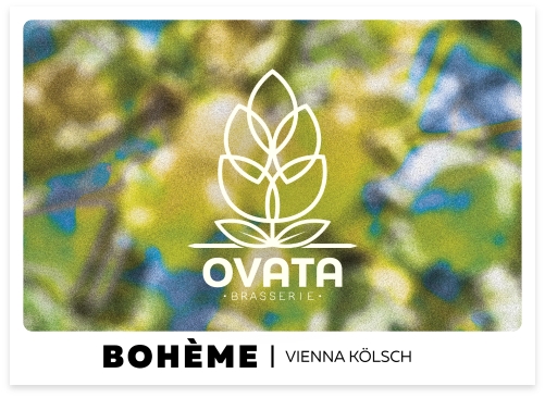 OVATA BOHEME KOLSCH 5.5% 75CL